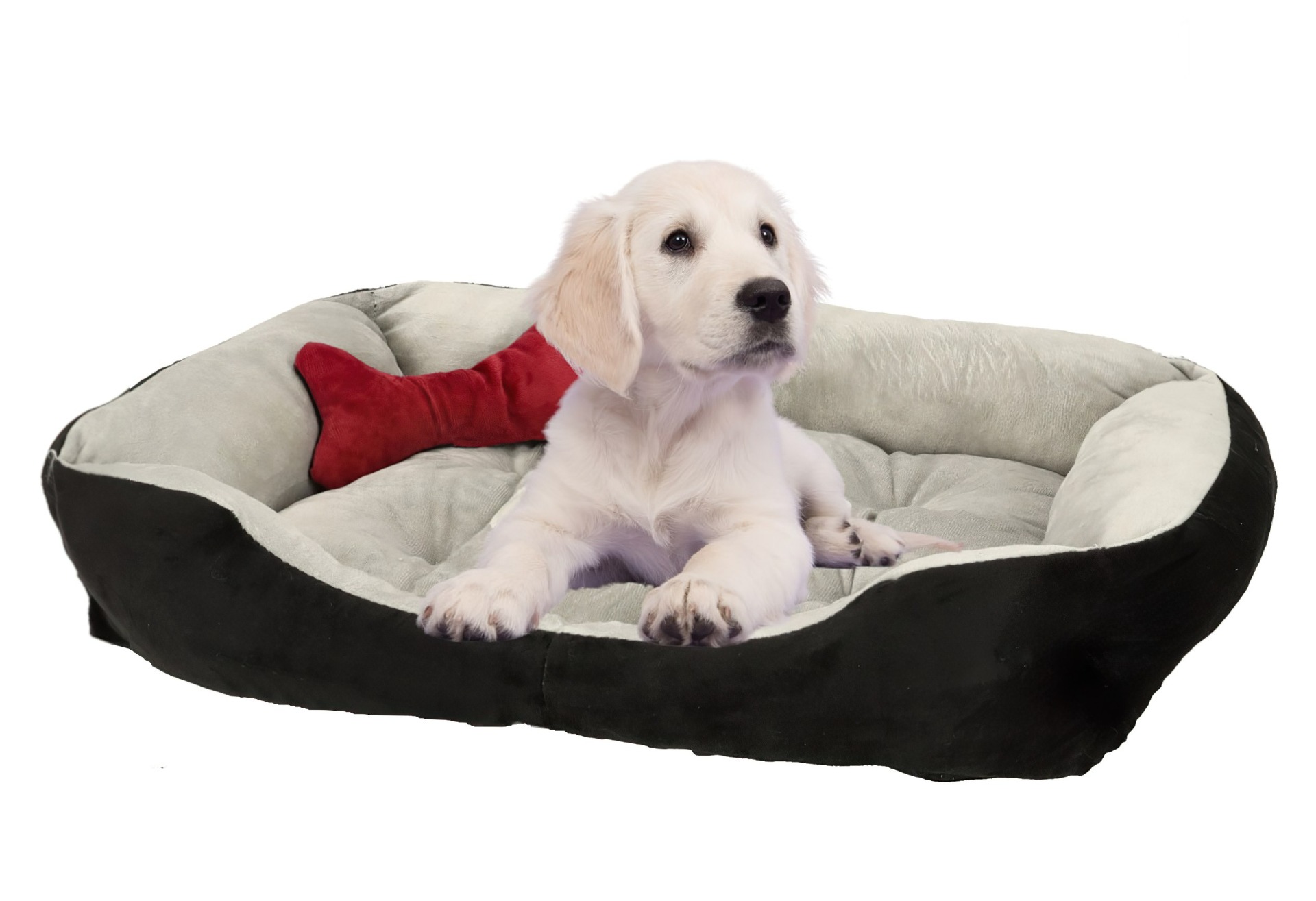 Pelíšek pro pejsky